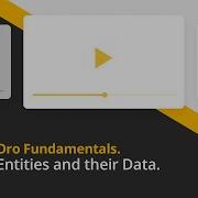 Oro Fundamentals Part 3 Entities And Their Data