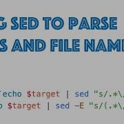 Parsing Text With Sed Extracting Information From Paths And Filenames In A Bash Script CC020