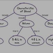 Concept Mapping