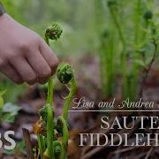 Lisa And Andrea S Sautéed Fiddleheads Kitchen Vignettes PBS Food