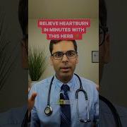 Doctor Reveals A Herb To Relieve Heartburn In Minutes