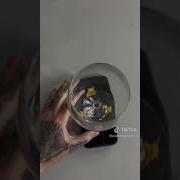 Wine Glass Hologram