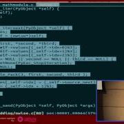 Embeddings Of Python
