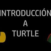 Introducción A Turtle Qué Es Y Primeros Pasos