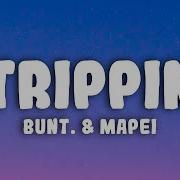 BUNT Mapei TRIPPIN