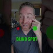 How To Find Your Eye S Blind Spot Shorts