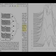 Live Compressed Spectral Arrays CSA From EEG Signals