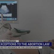 Adding Exceptions To The Abortion Law