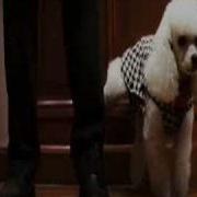 Rush Hour 3 Elevator Deleted Scene