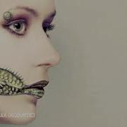 Lists Haven Lea Acoustic