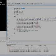 Java Properties Part 1 Using Program Arguments And VM Arguments