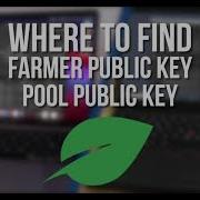 Where To Find Your Chia Farmer And Pool Public Key On Mac And Windows