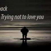 Nickelback Trying Not To Love You Lyrics