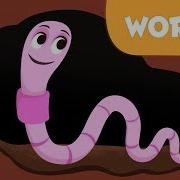 Worms Invertebrate Animals For Kids Natural Science For Kids