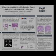 Lucia B Multi Instance Learning Methods For Cancer Detection In Histopathological VURS 2021