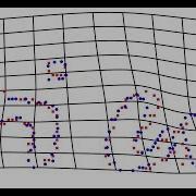 Thin Plate Spline Transformation Applied To Shape Matching