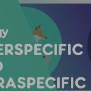 What Are Interspecific Intraspecific Interactions Ecology Environment Biology FuseSchool