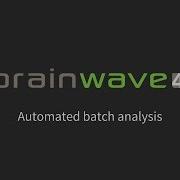 Automated Batch Analysis