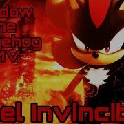 Shadow The Hedgehog GMV Feel Invincible