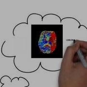 Consensus Similarity Mapping