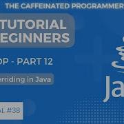 Java Tutorial For Beginners Method Overriding In Java Java OOP