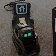 Распаковка и настройка обзор робота Vector 2 0 Vector распаковка