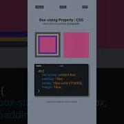CSS Box Sizing Explained In One Short Border Box Vs Content Box Cssprojects Cssshorts