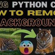Remove Background From Image Using Python HINDI Python Programming Rajnish Chaurasia