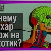 Почему сахар похож на наркотик TED Ed на русском