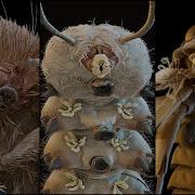Incredible Electron Microscope Images