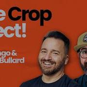 Эффект урожая Наш опыт на выставке Crop Con