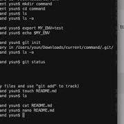 Command Line Tutorial For Data Scientist