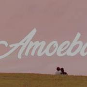Clairo Amoeba Lyrics