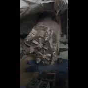 Soap Making Plodder Machine Test Run Soap Plodder