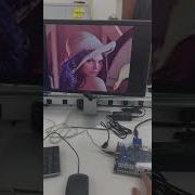 FPGA Implementation Of 2D Gaussian Blur Filter For Image Processing