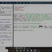 Mad Lib Story Using Python