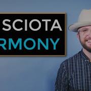Playing Harmonies On Mandolin Bluegrass Lesson Big Sciota
