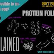 Protein Folding Explained