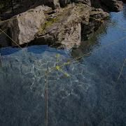 Spring Sale Water Caustics Effect Unity Asset