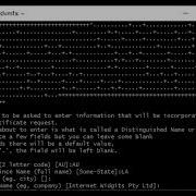 Installing A Self Signed Certificate To An Apache Webserver Running On Ubuntu Server 24 04 In Azure
