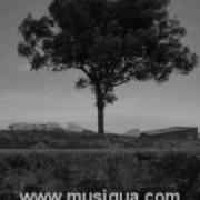 Starbreeze Musiqua