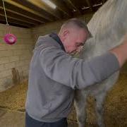 Module 4 Case Study Horse A Neck