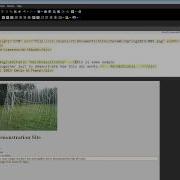 Using Expression Web 4 To Create A Template