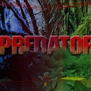 Predator Vision