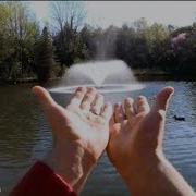STEMbite Duck Pond Weirdness