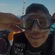 Discover Scuba Diving In Cozumel Mexico