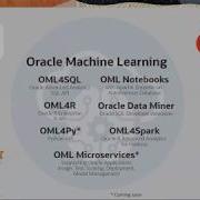 Oracle Machine Learning For Python
