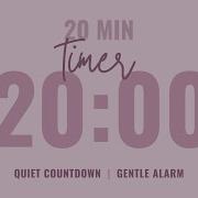 20 Minute Quiet Countdown Timer Gentle Alarm Aesthetic Pastel Pink