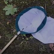 How To Use A Sweep Net