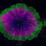 Neon Paint Bloom Explosion Loop 4K